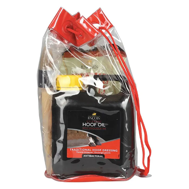 Lincoln Christmas Gift Bag